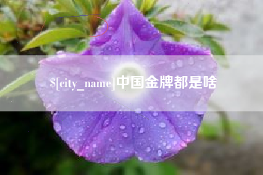 嘉兴中国金牌都是啥