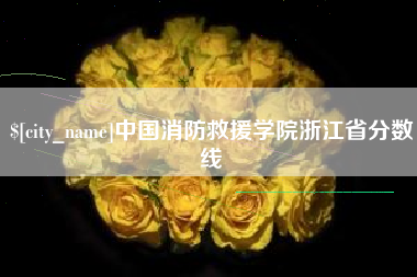 嘉兴中国消防救援学院浙江省分数线