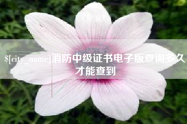嘉兴消防中级证书电子版查询多久才能查到