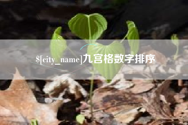 嘉兴九宫格数字排序