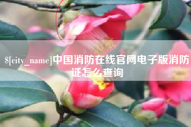 嘉兴中国消防在线官网电子版消防证怎么查询