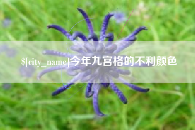 嘉兴今年九宫格的不利颜色