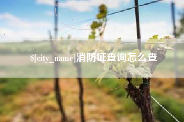 嘉兴消防证查询怎么查