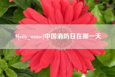 嘉兴中国消防日在哪一天