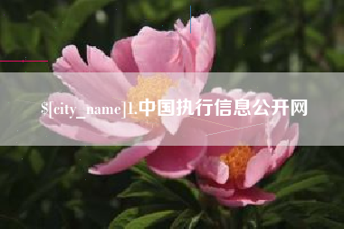 嘉兴1.中国执行信息公开网