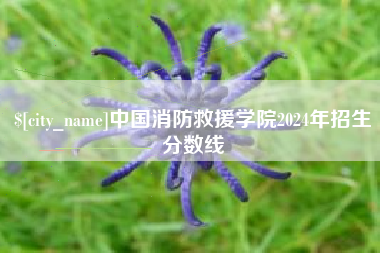 嘉兴中国消防救援学院2024年招生分数线