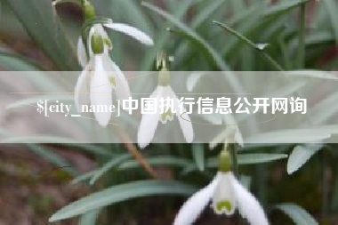 嘉兴中国执行信息公开网询