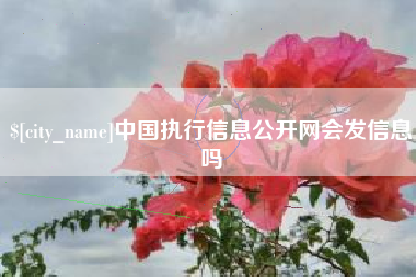 嘉兴中国执行信息公开网会发信息吗