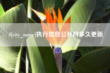 嘉兴执行信息公开网多久更新
