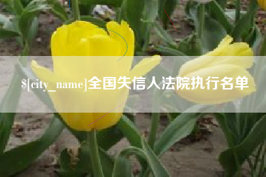 嘉兴全国失信人法院执行名单