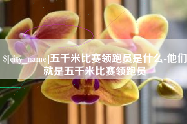 嘉兴五千米比赛领跑员是什么-他们就是五千米比赛领跑员