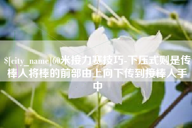 嘉兴60米接力赛技巧-下压式则是传棒人将棒的前部由上向下传到接棒人手中