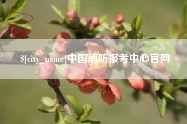 嘉兴中国消防报考中心官网