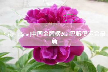 嘉兴中国金牌榜2024巴黎奥运会最新