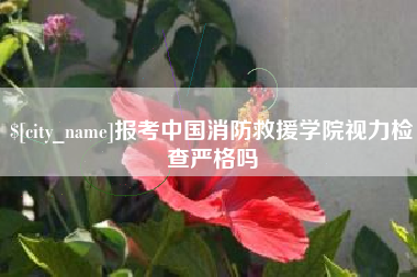 嘉兴报考中国消防救援学院视力检查严格吗