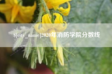 嘉兴2020年消防学院分数线