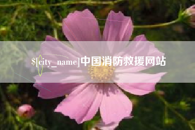 嘉兴中国消防救援网站