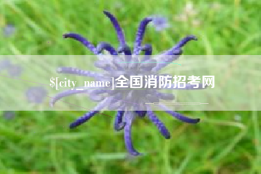 嘉兴全国消防招考网