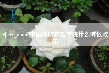 嘉兴中国消防救援学院什么时候政审