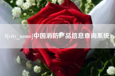 嘉兴中国消防产品信息查询系统1