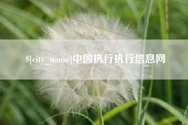 嘉兴中国执行执行信息网