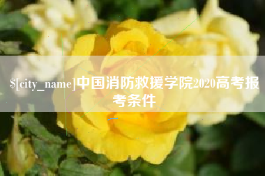 嘉兴中国消防救援学院2020高考报考条件