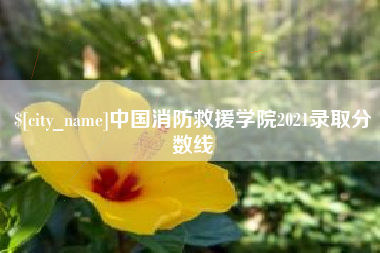 嘉兴中国消防救援学院2021录取分数线