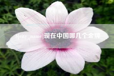 嘉兴现在中国哪几个金牌