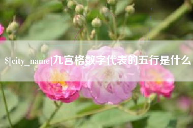 嘉兴九宫格数字代表的五行是什么