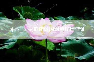 嘉兴消防证国网查询操作证