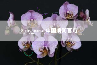 嘉兴中国消防官方