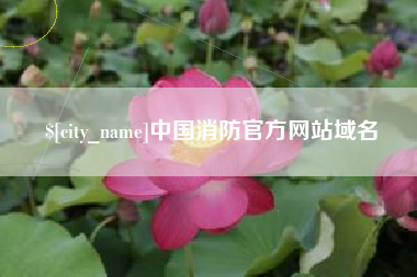 嘉兴中国消防官方网站域名