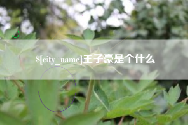 嘉兴王子豪是个什么