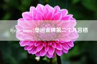 嘉兴奥运金牌第二个九宫格