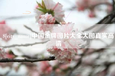 嘉兴中国金牌图片大全大图真实高清