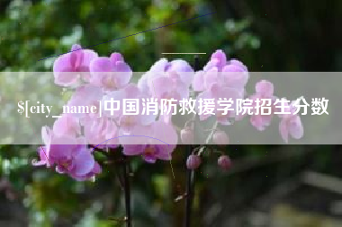 嘉兴中国消防救援学院招生分数