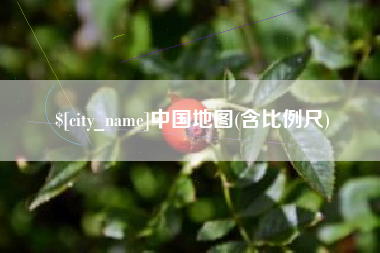 嘉兴中国地图(含比例尺)