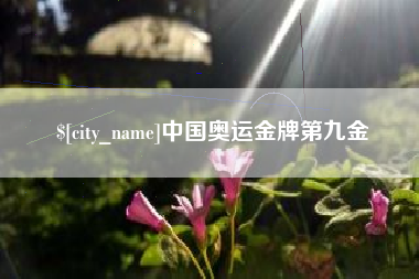 嘉兴中国奥运金牌第九金