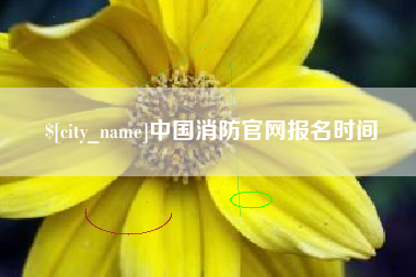 嘉兴中国消防官网报名时间