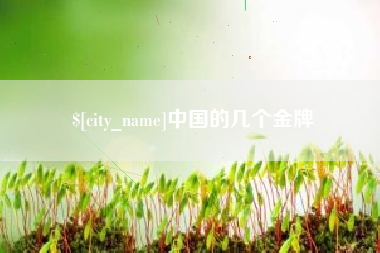 嘉兴中国的几个金牌