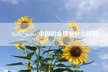 嘉兴中国的金牌是什么样的
