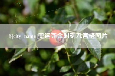 嘉兴奥运夺金时刻九宫格图片
