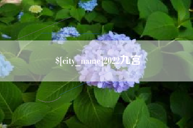 嘉兴2022九宫