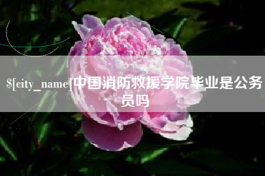 嘉兴中国消防救援学院毕业是公务员吗