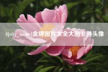 嘉兴金牌图片大全大图卡通头像
