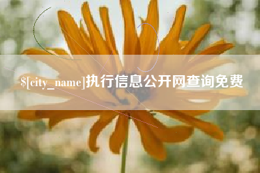 嘉兴执行信息公开网查询免费