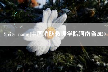 嘉兴中国消防救援学院河南省2020